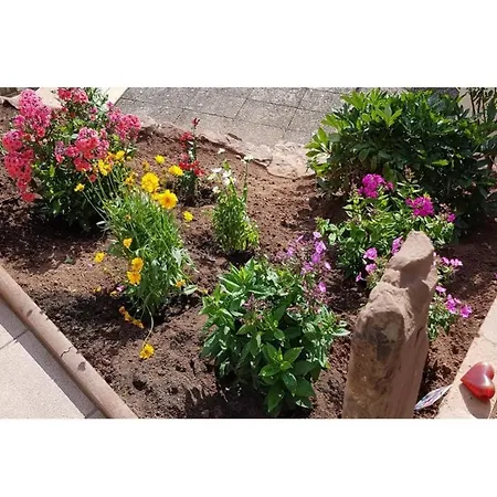 Daire Talstadtblick Schramberg